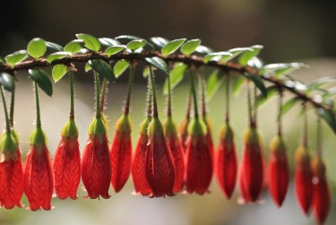 深圳光明区2私人快速借钱网，轻松解决资金难题