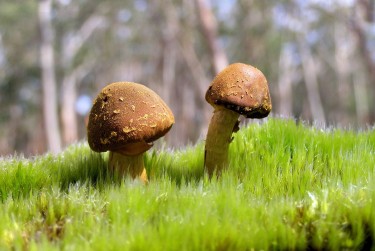 深圳光明区2私人老板放款：轻松融资的秘密通道